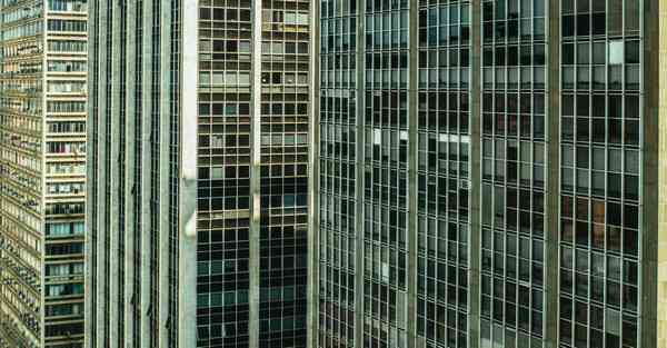 佛跳墙最新版下载v2.